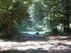 02beach_access_path