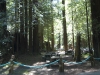 06-group_area_1