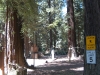 16-rec_area_4