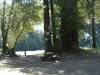 19-riverview_site