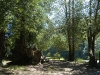 22-site_42