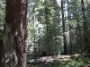 23-site_108