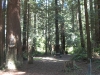 27-site_212a