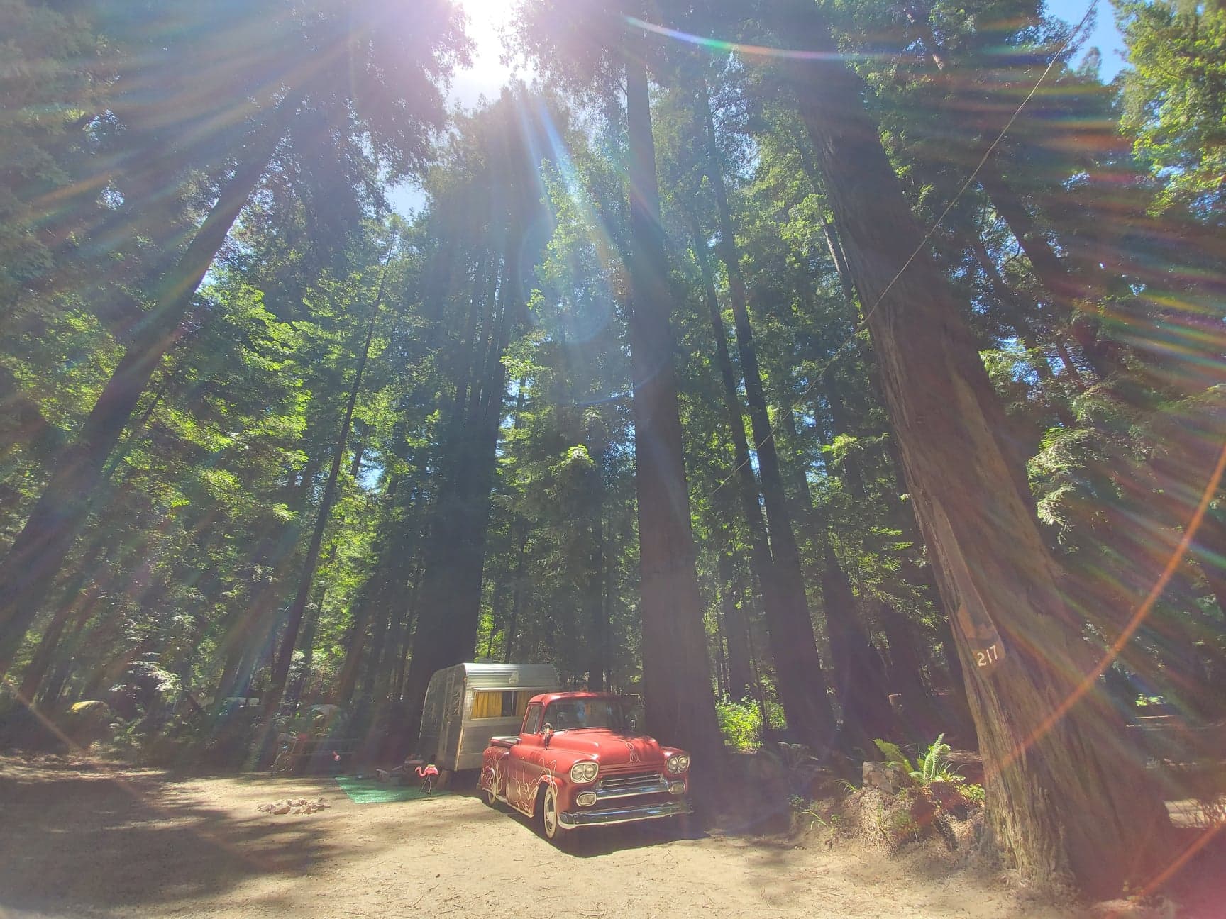 Home Gualala River Redwood Park